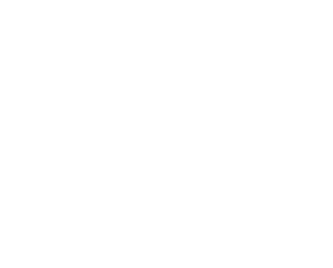 Blank white image with no content (placeholder).