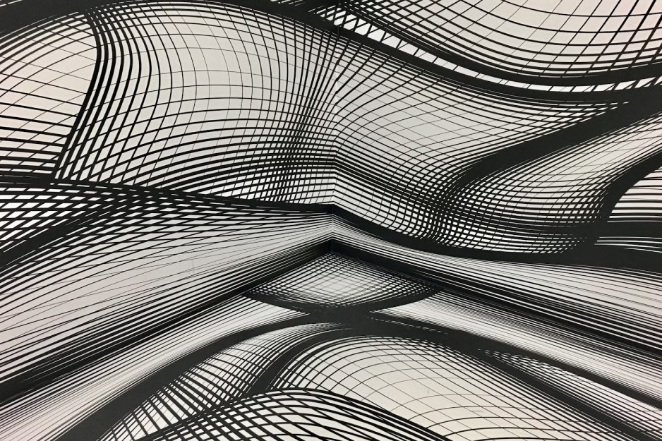 Abstract black-and-white geometric lines forming intertwining curves (artwork)